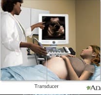 Ultrasound